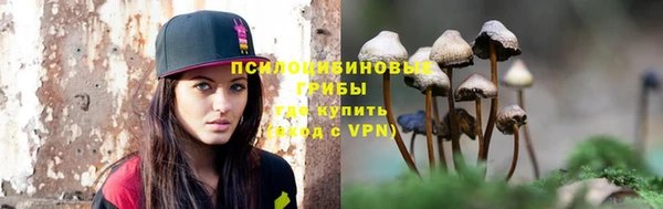 2c-b Абдулино