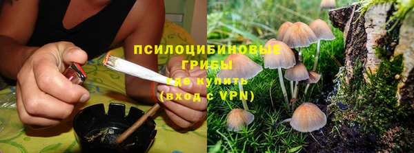 2c-b Абдулино