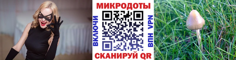 Галлюциногенные грибы MAGIC MUSHROOMS  наркота  Нюрба 