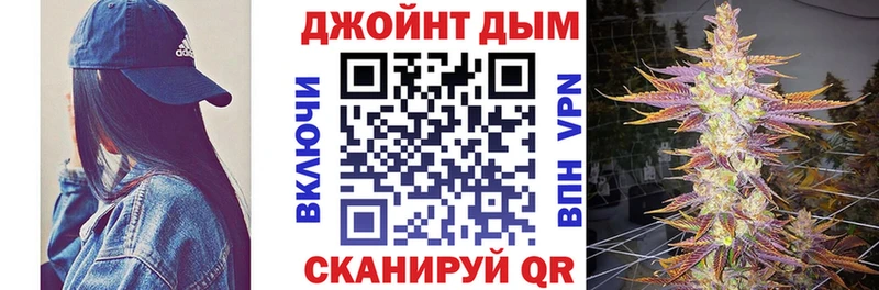 где найти   Нюрба  Канабис семена 
